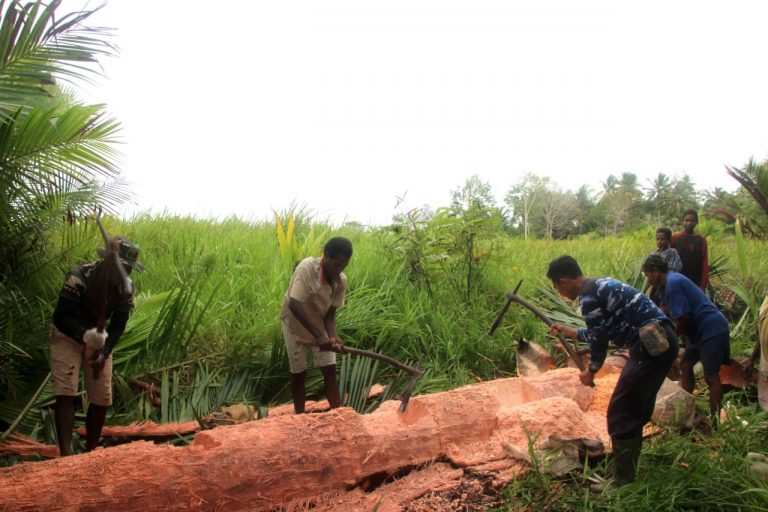 photo6271747907363384957