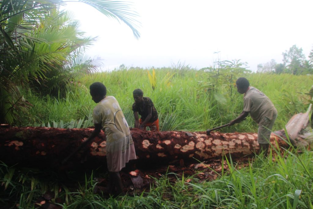 photo6282909981904842037(1)