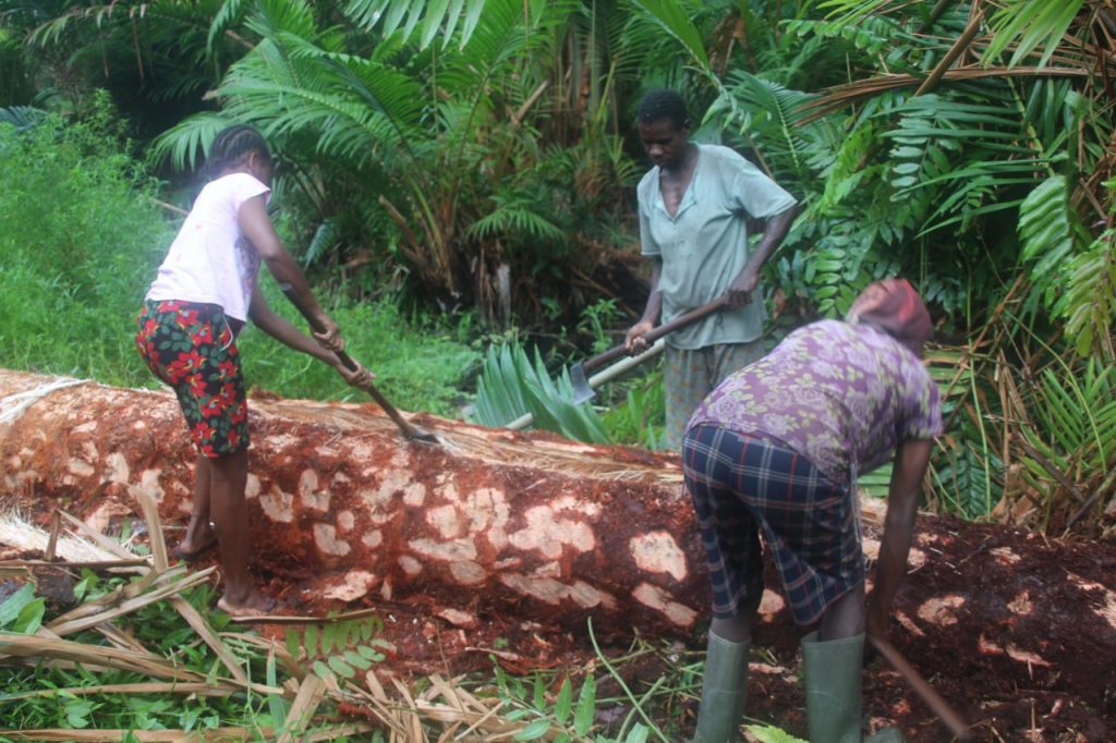 photo6282909981904842038