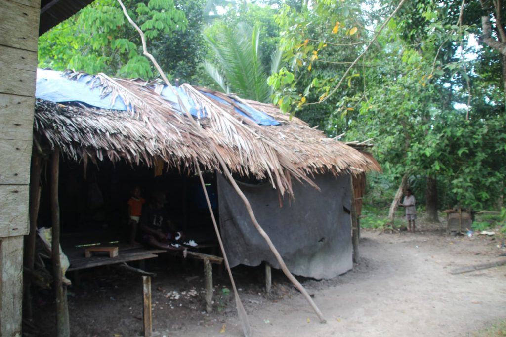 photo6282909981904842044