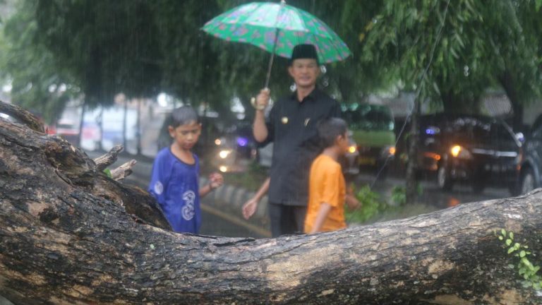 WhatsApp Image 2021-11-01 at 04.39.23