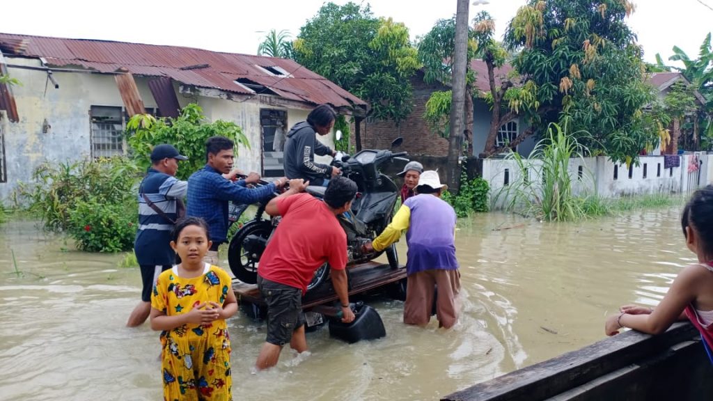 WhatsApp Image 2021-11-01 at 23.41.16