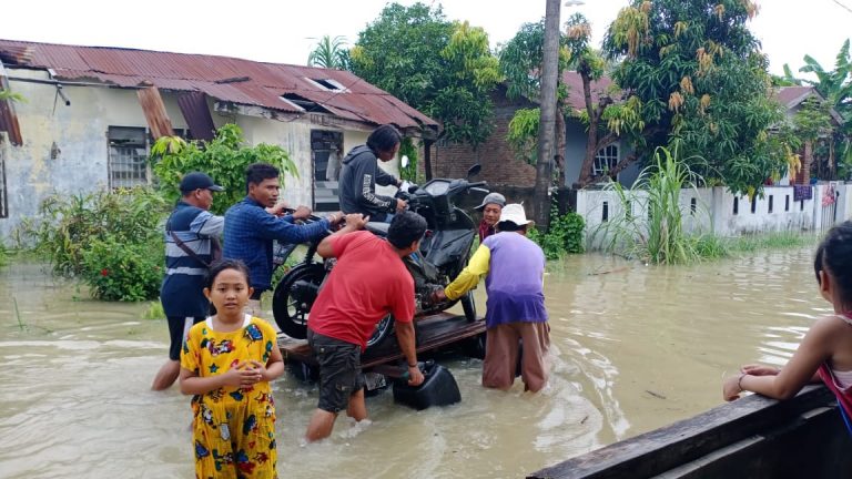 WhatsApp Image 2021-11-01 at 23.41.16