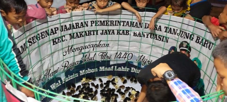 WhatsApp Image 2021-11-03 at 17.27.09