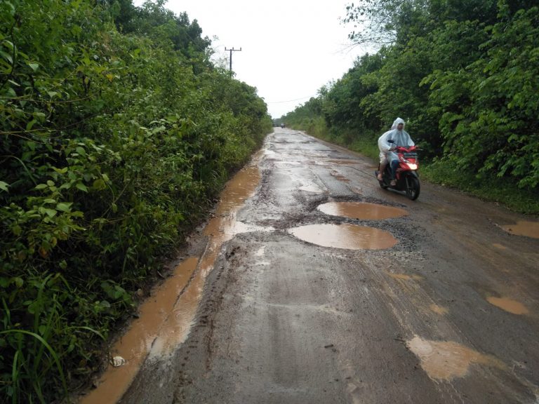 WhatsApp Image 2021-11-04 at 06.12.57(1)