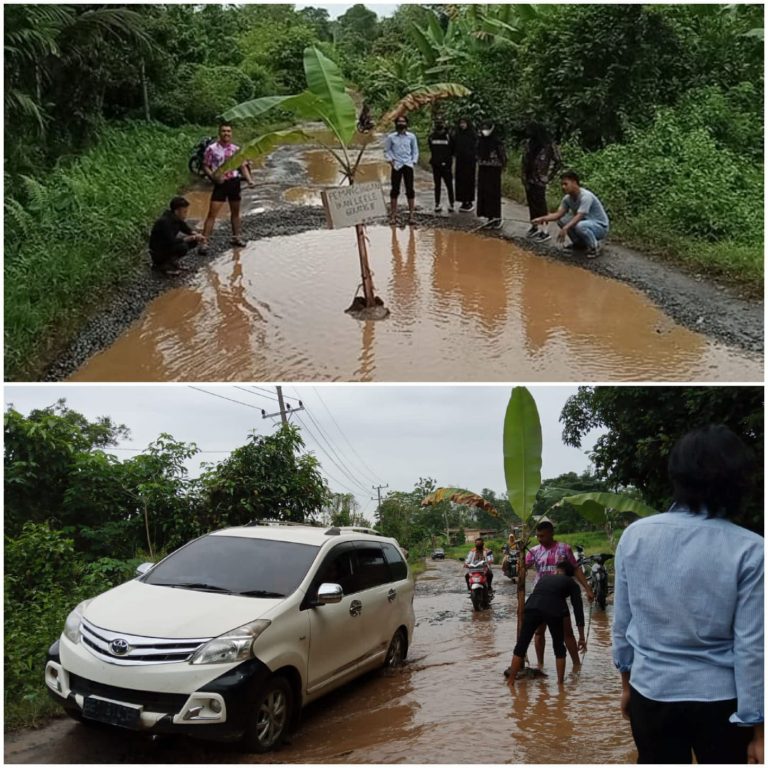 WhatsApp Image 2021-11-11 at 16.19.01