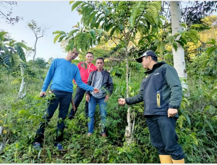 WhatsApp Image 2021-11-16 at 06.47.21