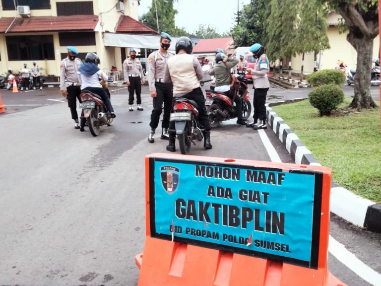 WhatsApp Image 2021-11-23 at 23.08.53