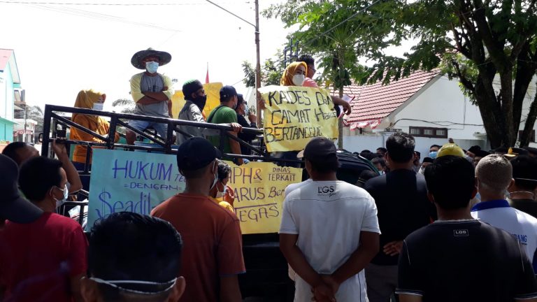 WhatsApp Image 2021-11-29 at 08.13.08