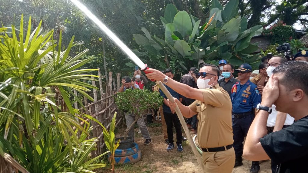 WhatsApp Image 2022-03-01 at 04.26.29