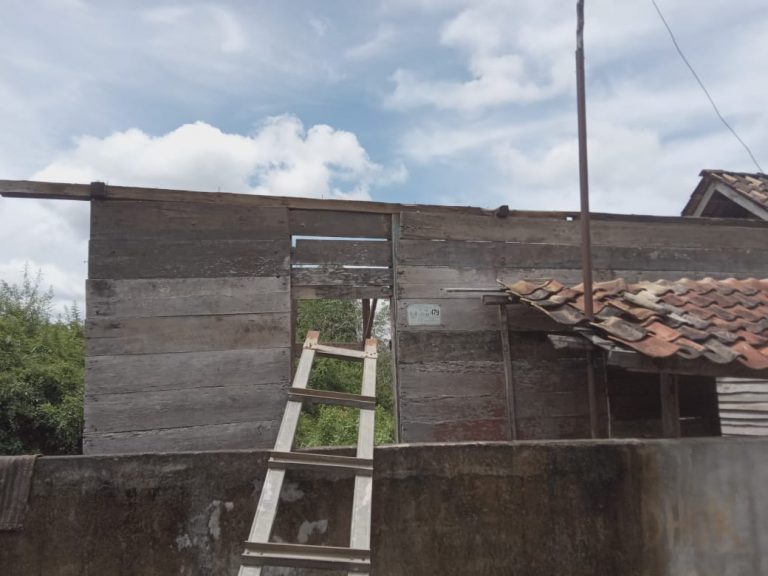 WhatsApp Image 2022-03-16 at 07.13.07