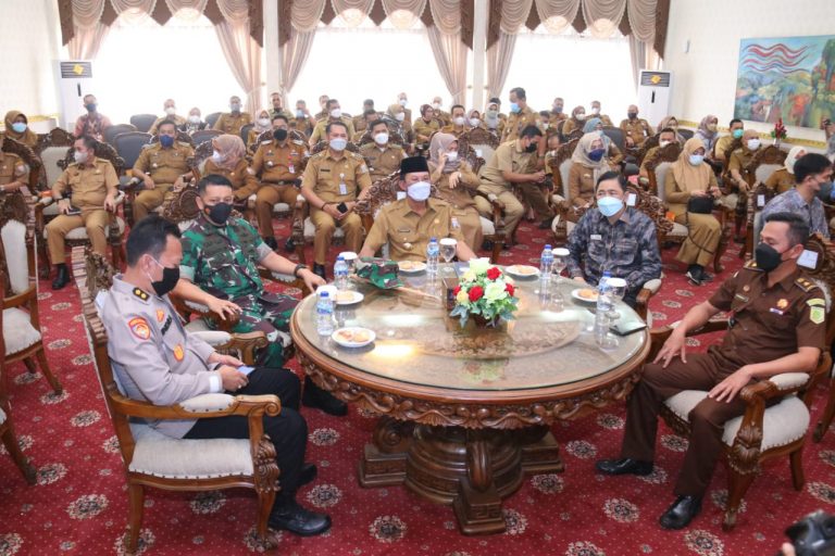 WhatsApp Image 2022-03-29 at 03.18.12