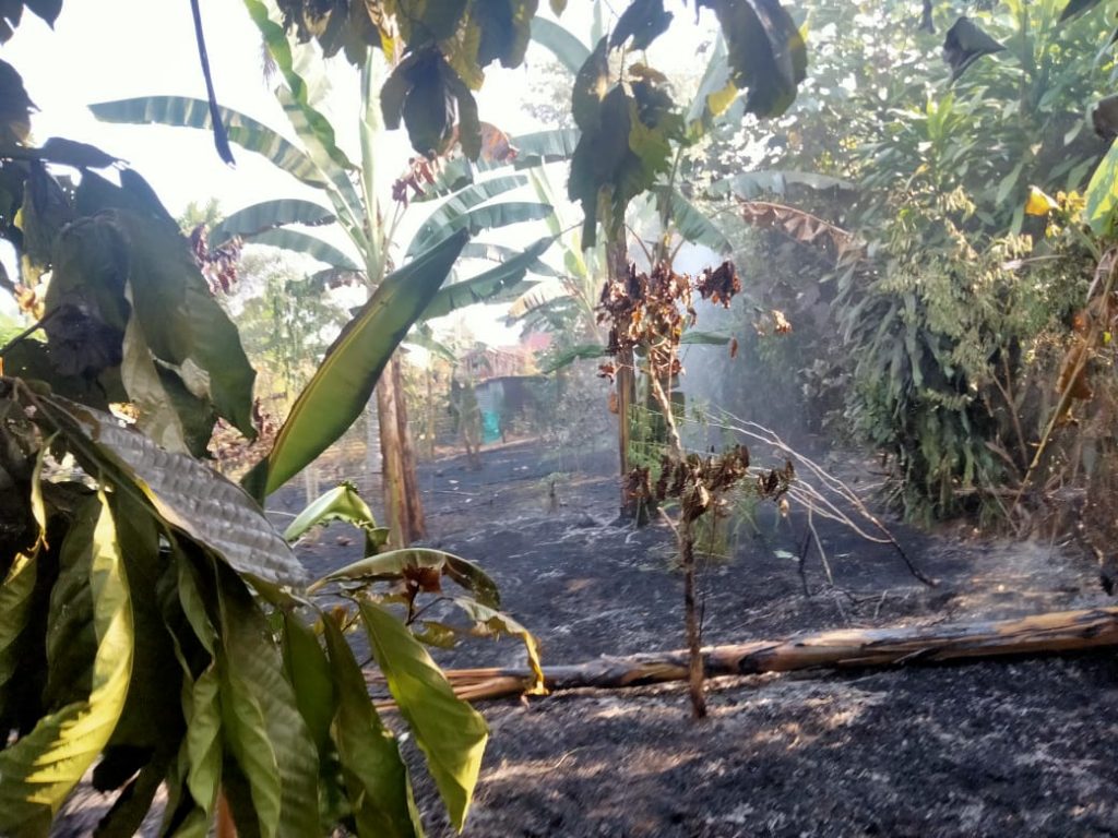 WhatsApp Image 2022-03-29 at 05.09.10