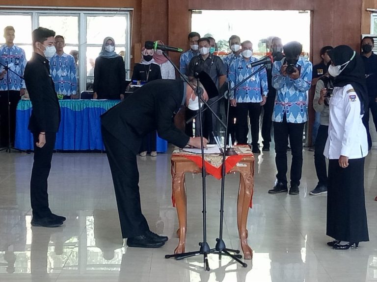 WhatsApp Image 2022-03-31 at 23.50.37