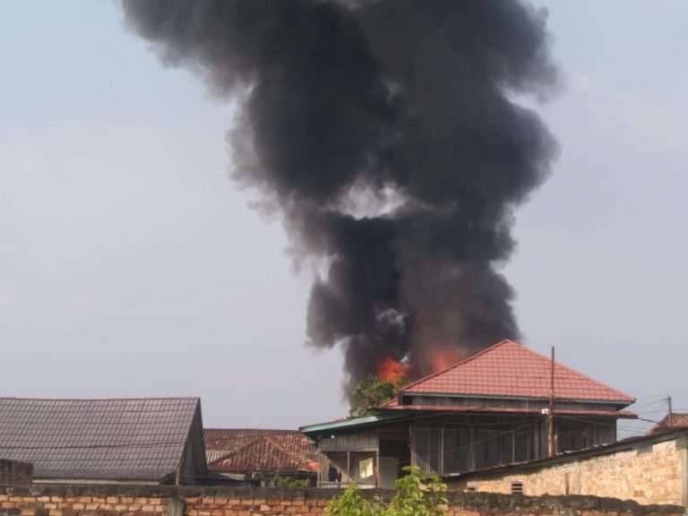 WhatsApp Image 2022-04-01 at 06.26.55