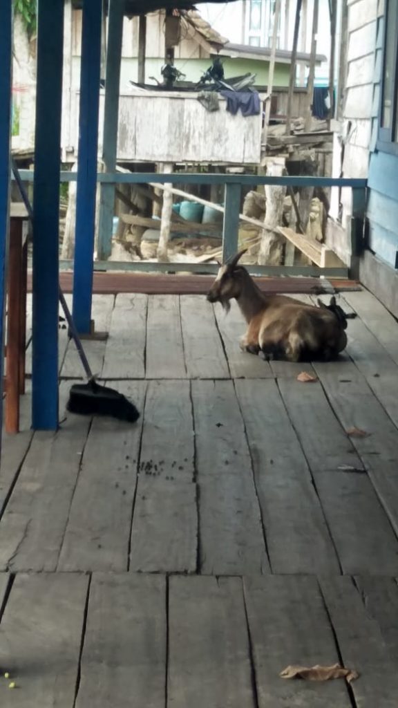 WhatsApp Image 2022-05-05 at 20.21.21