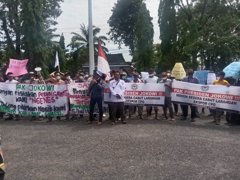 WhatsApp Image 2022-05-17 at 03.27.58