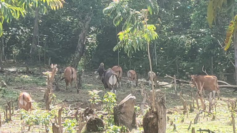 WhatsApp Image 2022-05-19 at 00.32.20