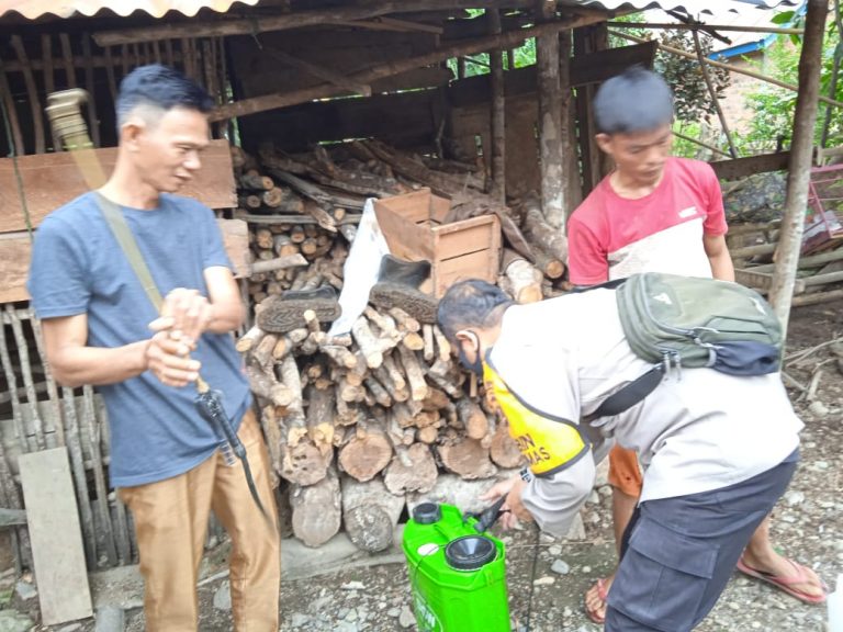 WhatsApp Image 2022-05-24 at 21.26.44