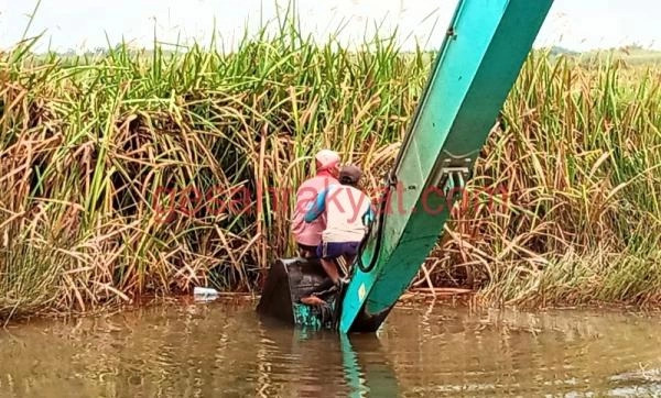 WhatsApp Image 2022-06-21 at 00.12.46