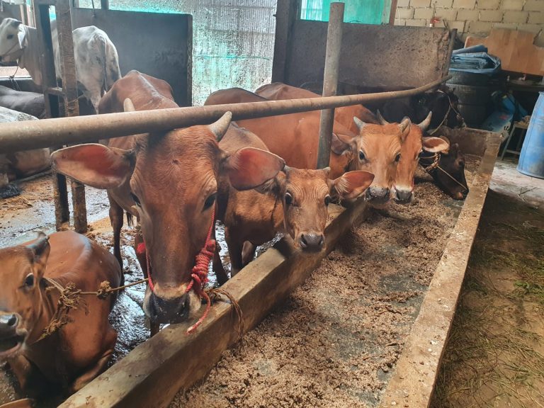 WhatsApp Image 2022-06-24 at 05.39.22