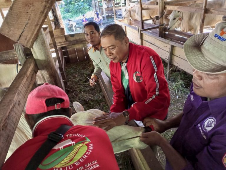 WhatsApp Image 2022-07-03 at 03.01.35