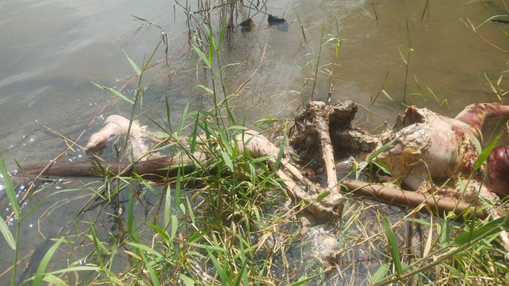 WhatsApp Image 2022-07-22 at 00.34.37