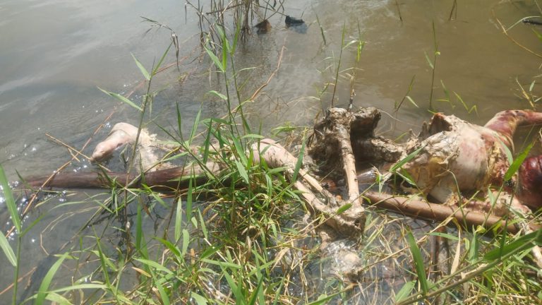 WhatsApp Image 2022-07-22 at 00.34.37