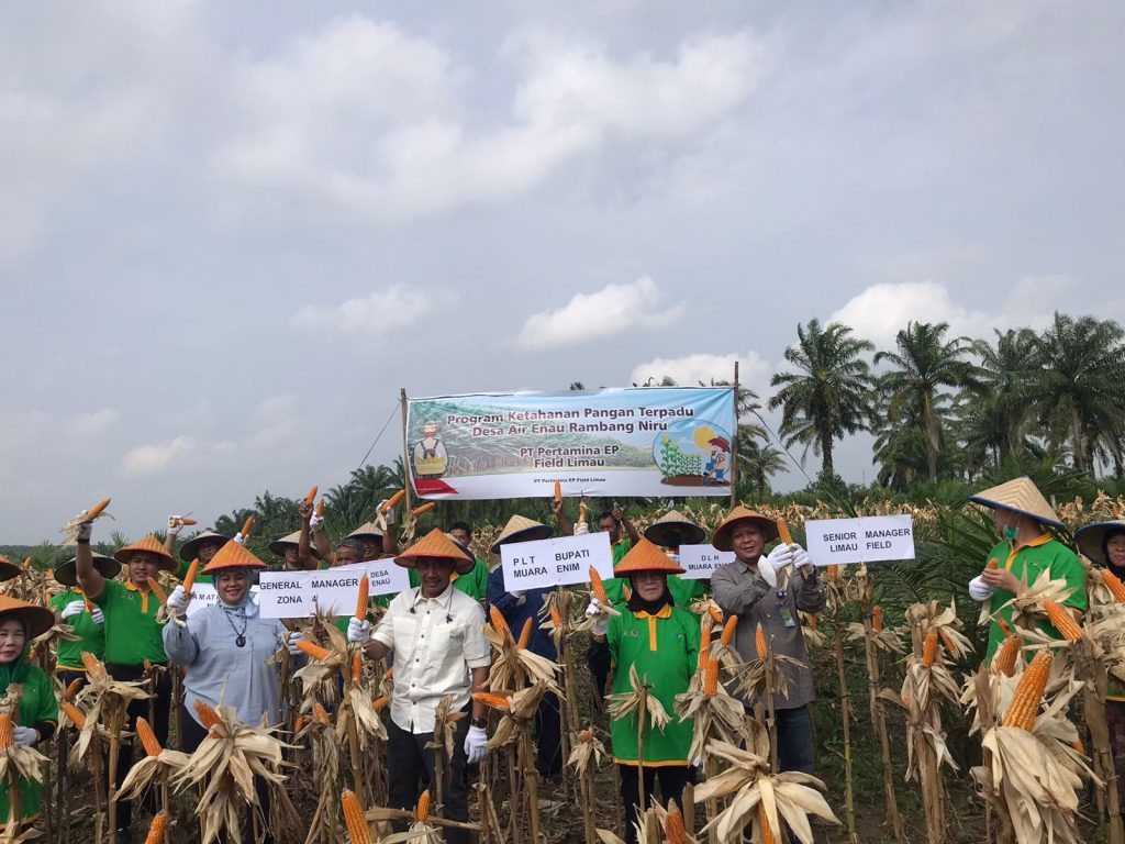 WhatsApp Image 2022-07-29 at 17.53.36