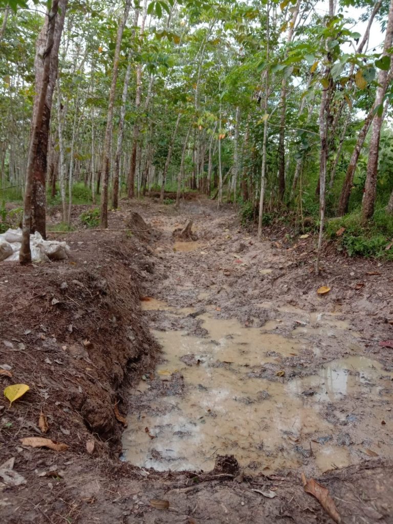 WhatsApp Image 2022-08-02 at 00.11.03