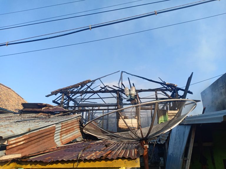 WhatsApp Image 2022-08-10 at 05.36.36