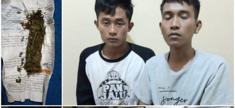 WhatsApp Image 2022-08-22 at 05.54.52