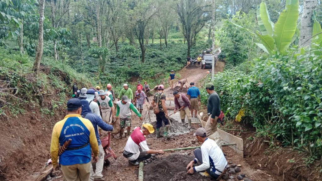 WhatsApp Image 2022-08-28 at 08.58.17(1)