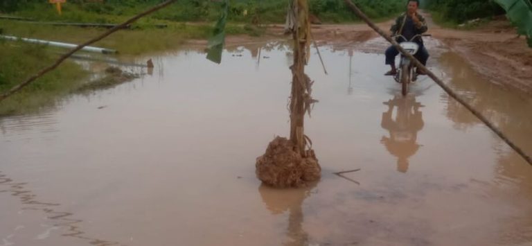 WhatsApp Image 2022-09-15 at 06.11.41