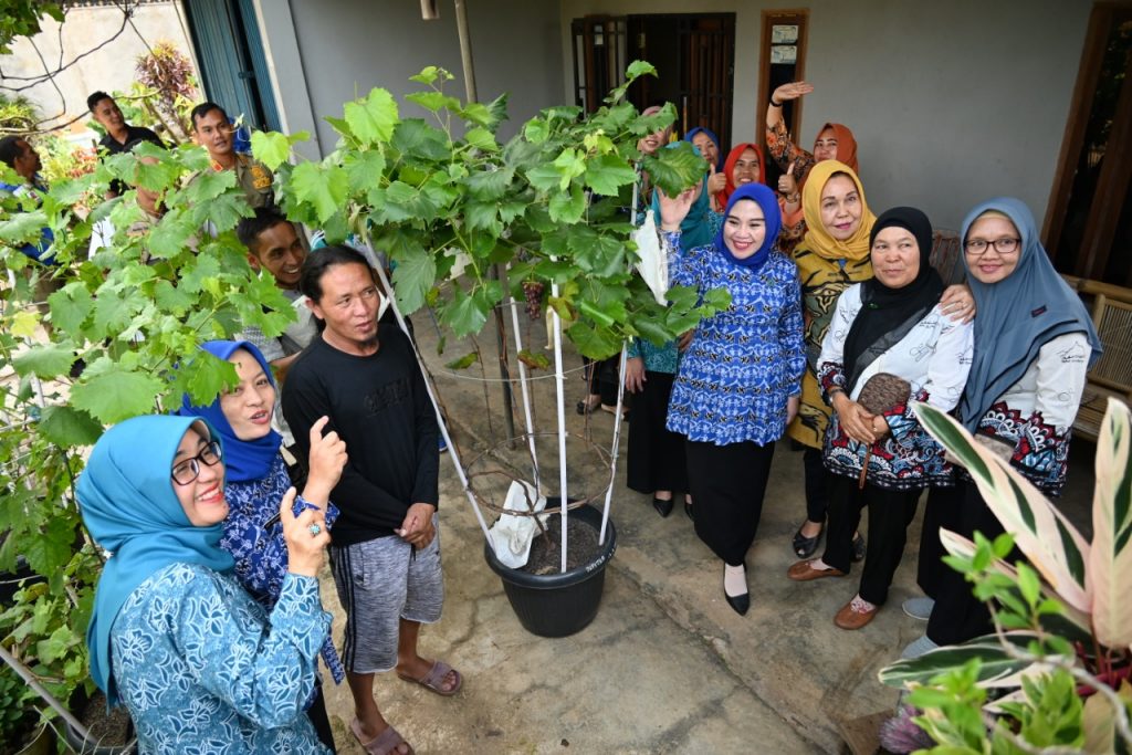 WhatsApp Image 2022-09-18 at 06.18.38