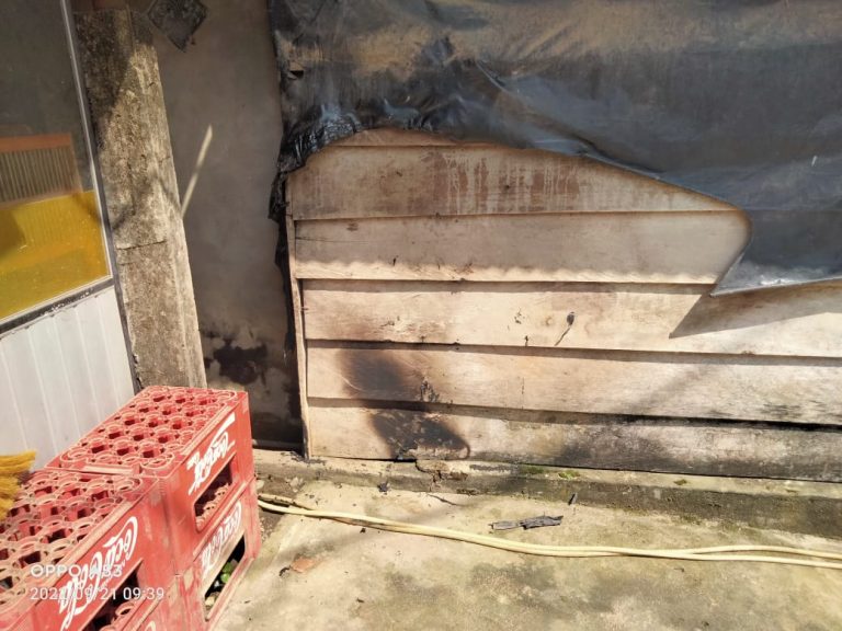 WhatsApp Image 2022-09-22 at 05.33.56