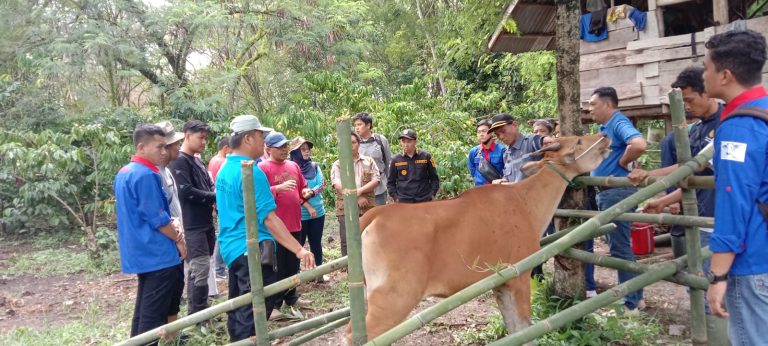 WhatsApp Image 2022-10-07 at 01.32.43