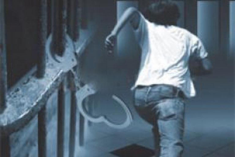 WhatsApp Image 2022-10-11 at 04.34.04