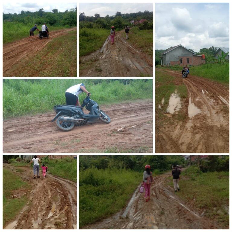 WhatsApp Image 2022-10-22 at 21.36.18