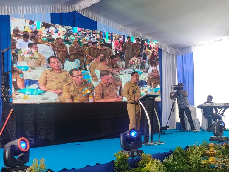 WhatsApp Image 2022-10-31 at 00.09.12