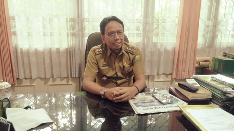 WhatsApp Image 2022-11-01 at 16.02.49