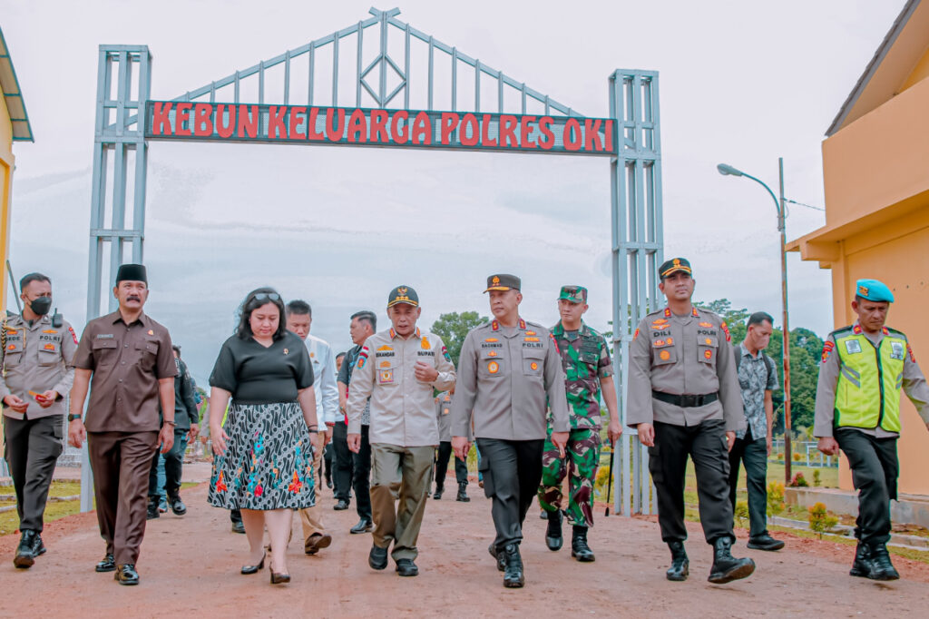 WhatsApp Image 2022-11-05 at 03.46.18