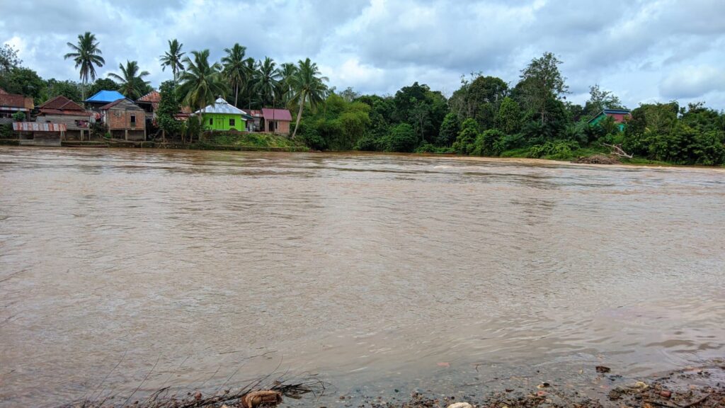 WhatsApp Image 2022-11-08 at 01.35.43