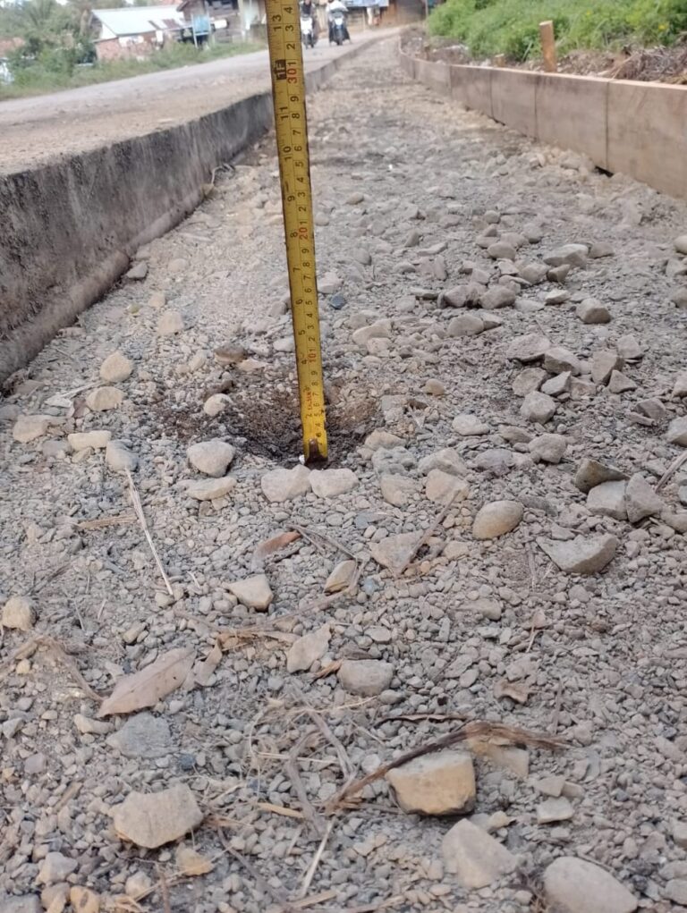 WhatsApp Image 2022-11-09 at 01.49.46