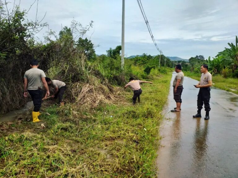 WhatsApp Image 2022-11-13 at 21.03.46