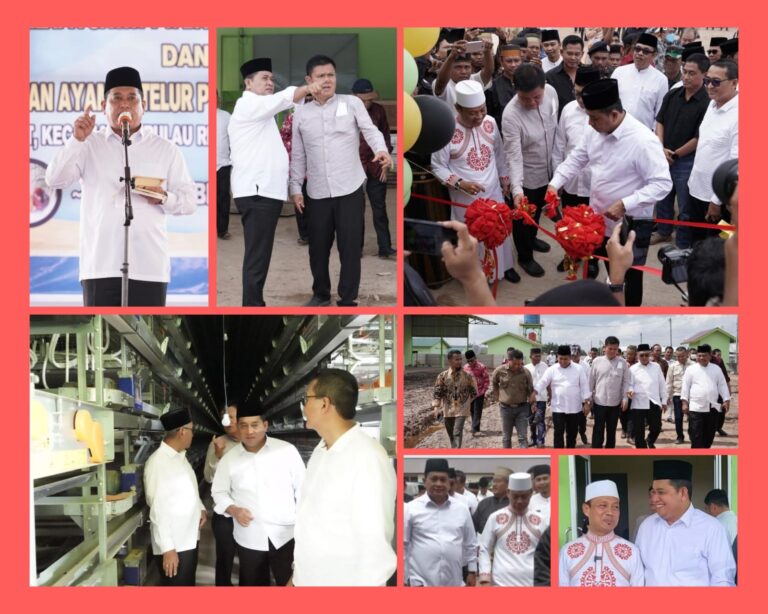 WhatsApp Image 2022-11-19 at 21.30.18(1)