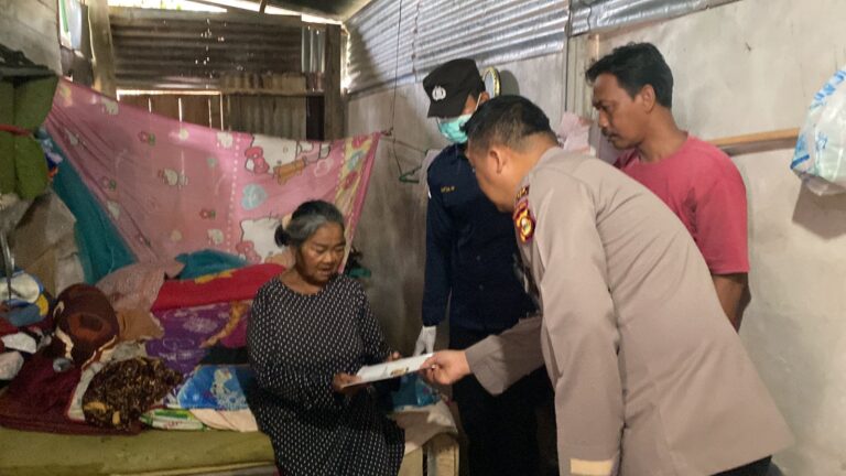 WhatsApp Image 2022-11-25 at 03.43.12