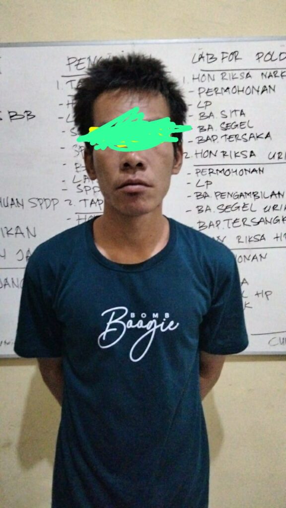 WhatsApp Image 2022-11-29 at 00.19.33