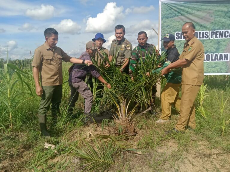 WhatsApp Image 2022-11-29 at 20.09.26