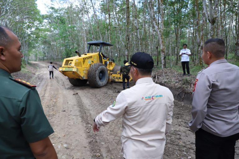 IMG-20221102-WA0103-768x511